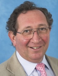 David Feldman